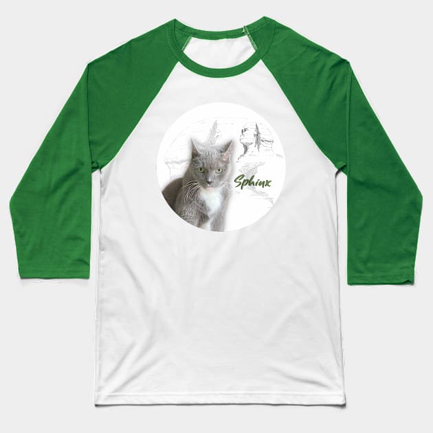 Sphynx Egyptian Grey Cat Baseball T-Shirt by Long-N-Short-Shop